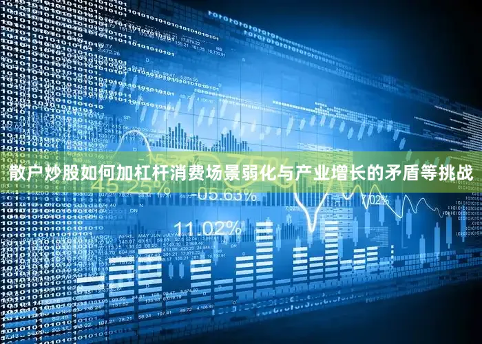 散户炒股如何加杠杆消费场景弱化与产业增长的矛盾等挑战