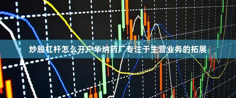 炒股杠杆怎么开户华纳药厂专注于主营业务的拓展