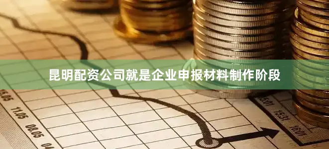 昆明配资公司就是企业申报材料制作阶段