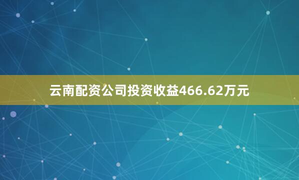 云南配资公司投资收益466.62万元