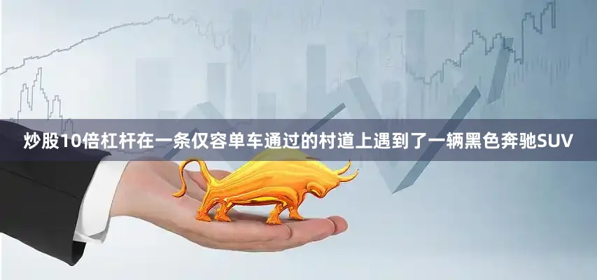 炒股10倍杠杆在一条仅容单车通过的村道上遇到了一辆黑色奔驰SUV
