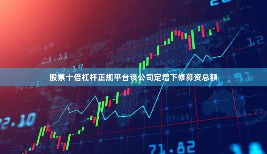 股票十倍杠杆正规平台该公司定增下修募资总额